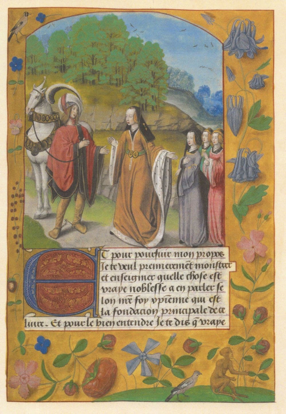 Imagination De Vraye Noblesse Quentin Poulet Book Postcard