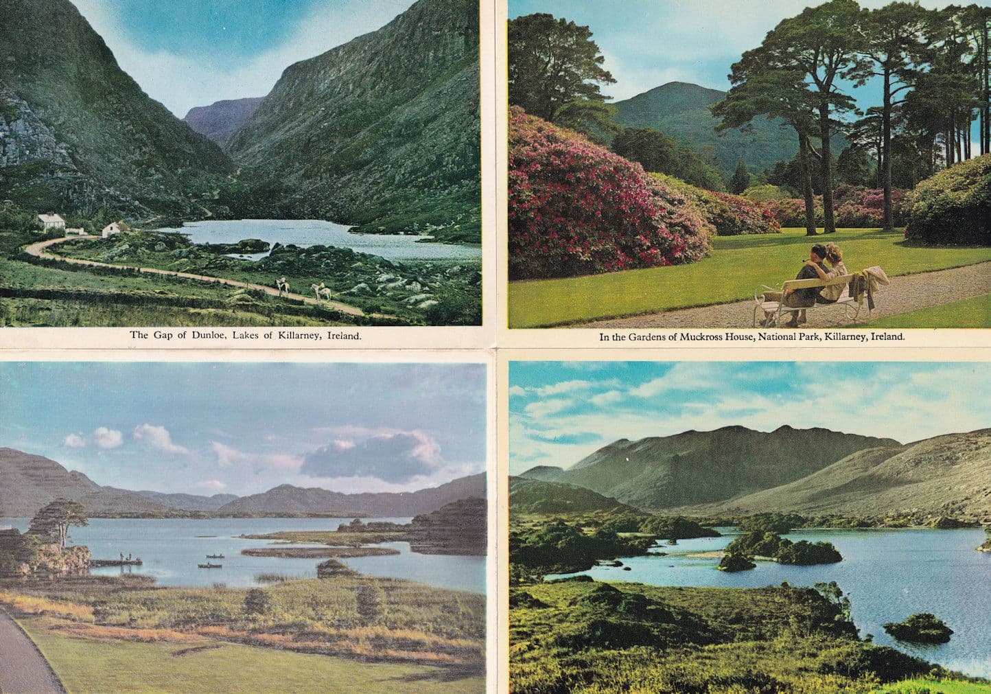 In The Gardens Of Muckross House Killarney 4x Irish Mountains Postcard s