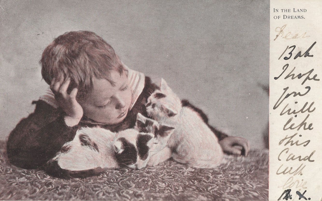 In The Land Of Dreams Cats Kittens Sleeping Old Cat Rare Postcard