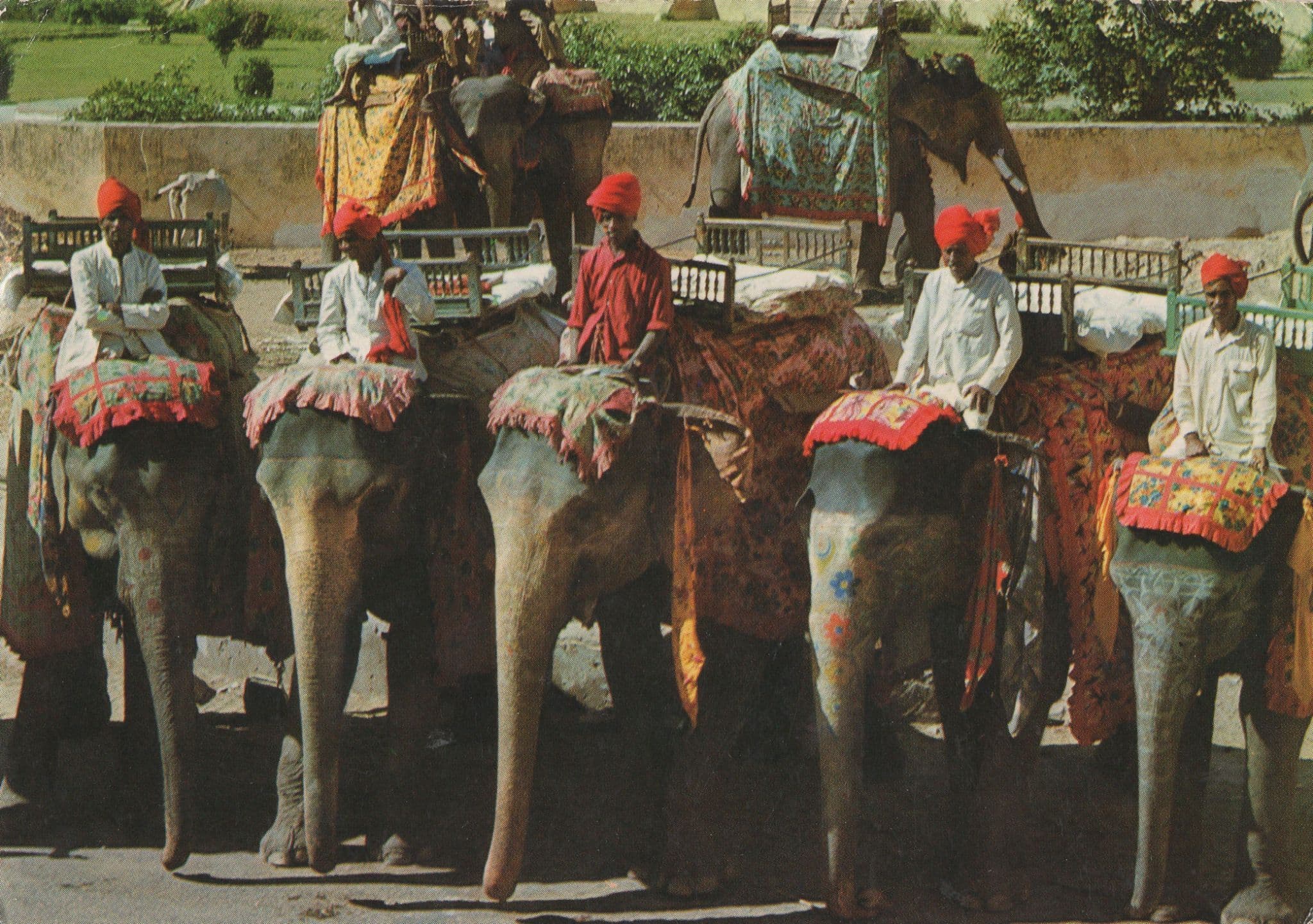 India Elephant Taxi Cars Cabs Jaipur Rajasthan Postcard