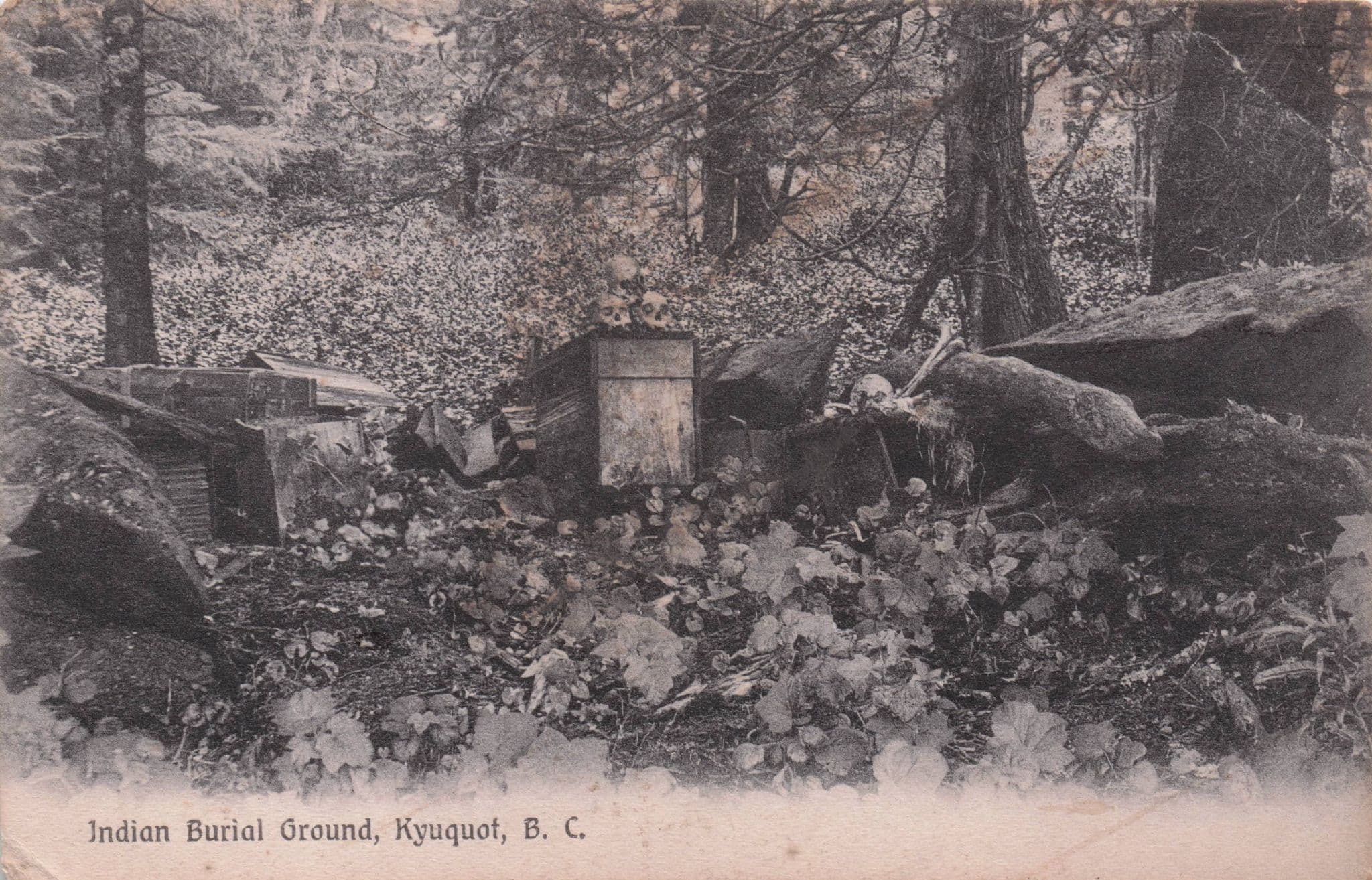 Indian Burial Ground Kyuquot Vancouver BC Canada Antique Postcard