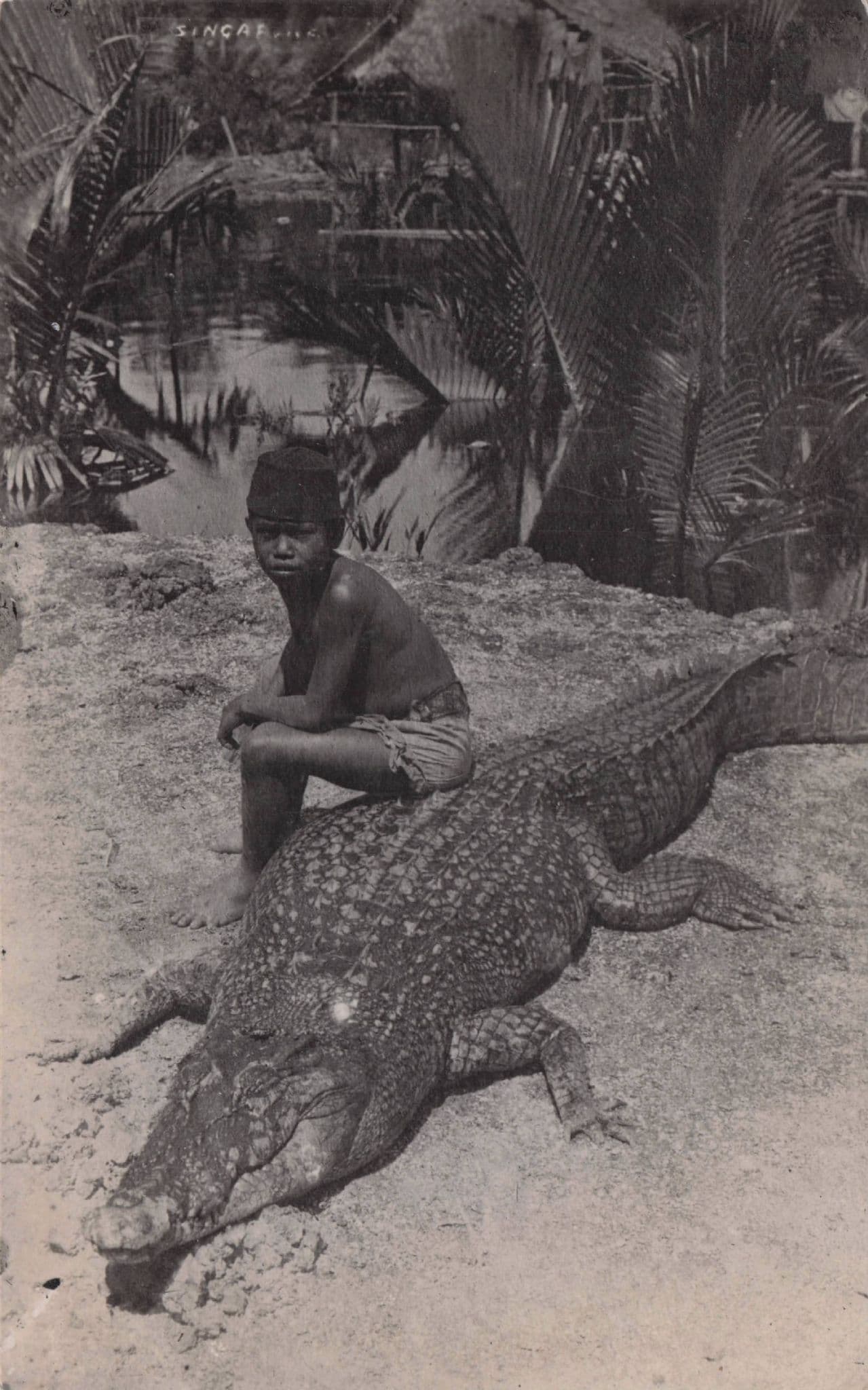 Indian Crocodile Hunting Child With Trophy Animal Old RPC Postcard