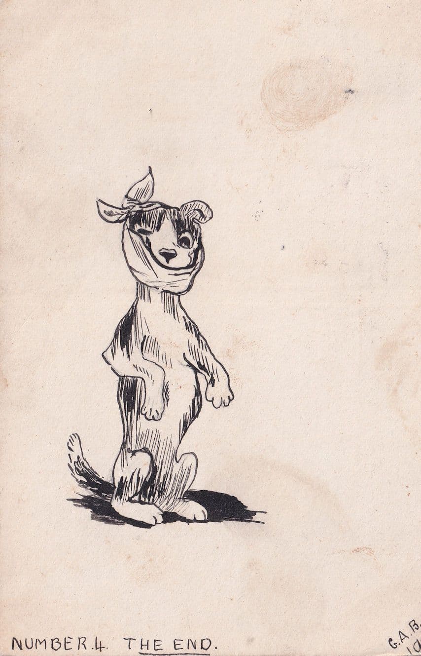 Injured Wounded Dog in Face Sling 1906 Old Postcard