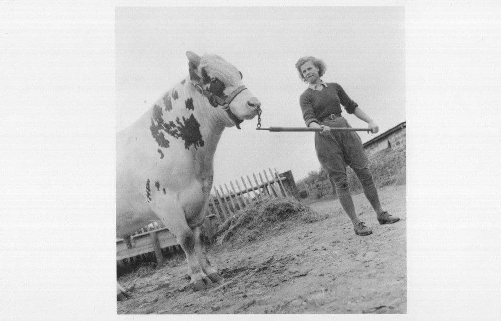 Iris Joyce Military Secretary WW2 Farm Land Cow Girl Postcard