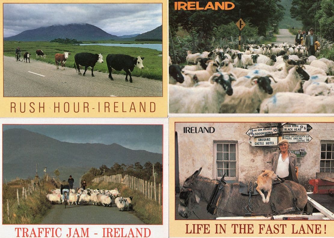 Irish Sheep Traffic Jam Dog Piggy Back 4x Ireland Comic Postcard s