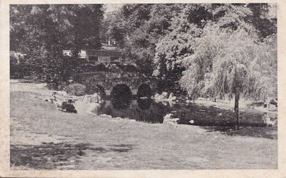 Ironmongers & Chemists on The Green Ealing London Antique Postcard