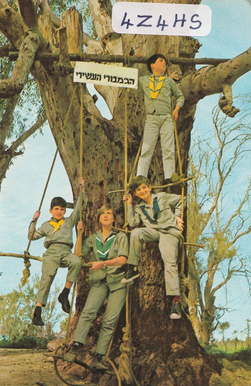 Israel Sea Scouts Club Rare QSL Radio Postcard Card