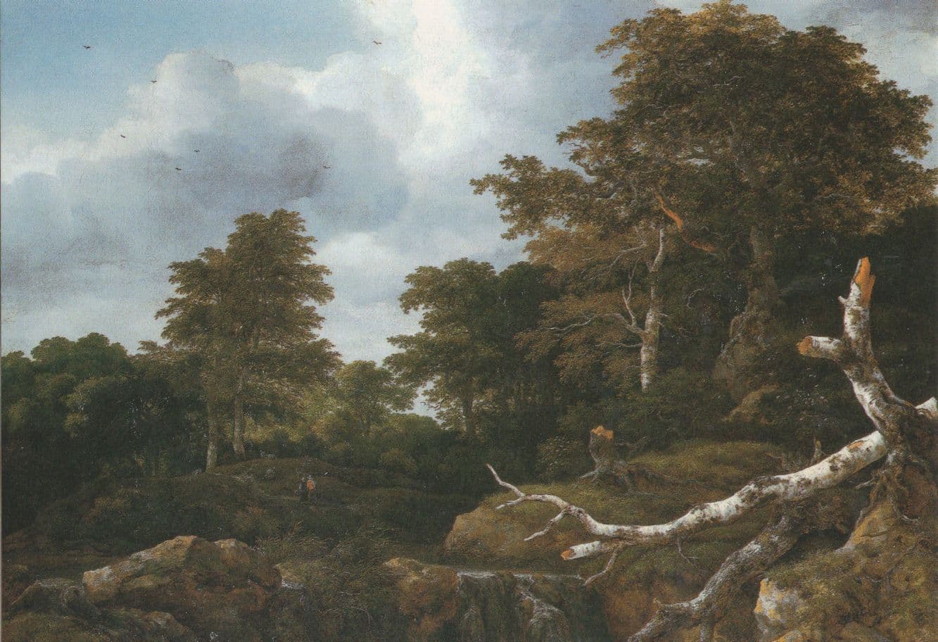 Jacob van Ruisdael Waterfall on A Hilly Wooded Landscape Postcard