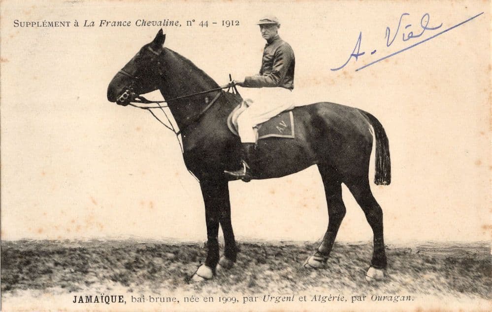 Jamaique La France Chevaline Race 1909 Horse Signed Old PB Postcard