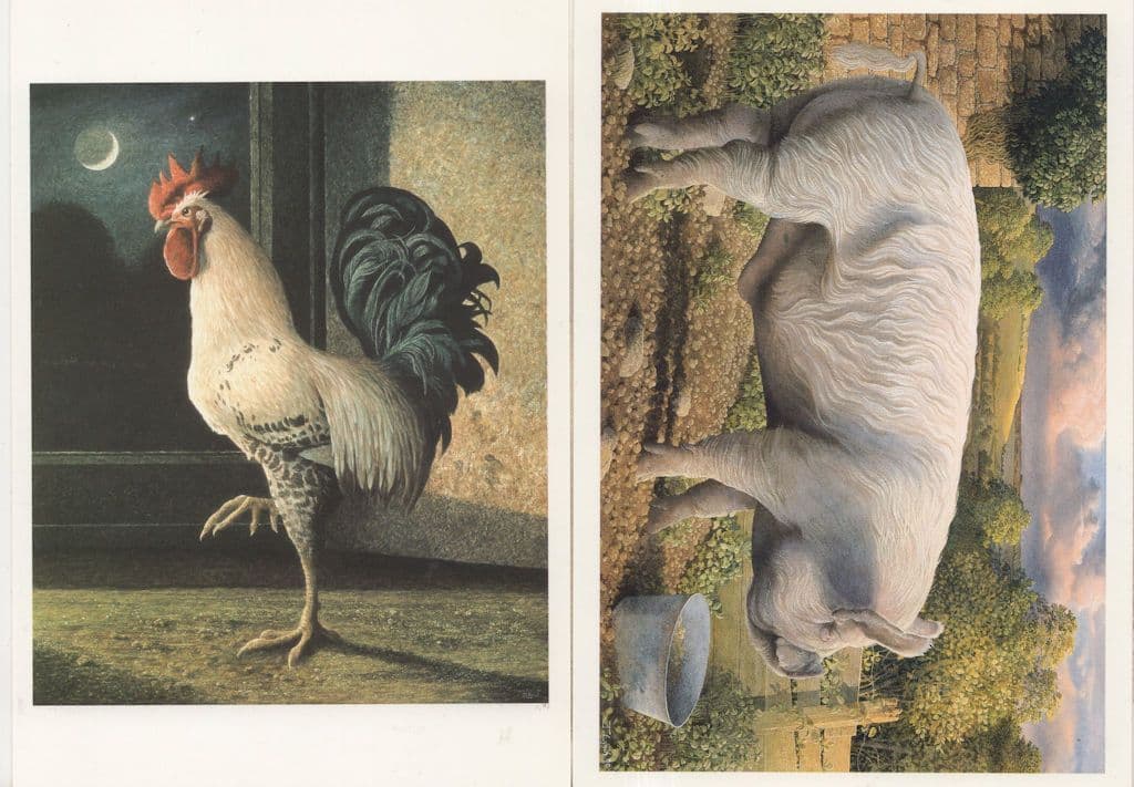 James Lynch Middle White Boar Farm Egyptian Cockerel 2x Painting Postcard s