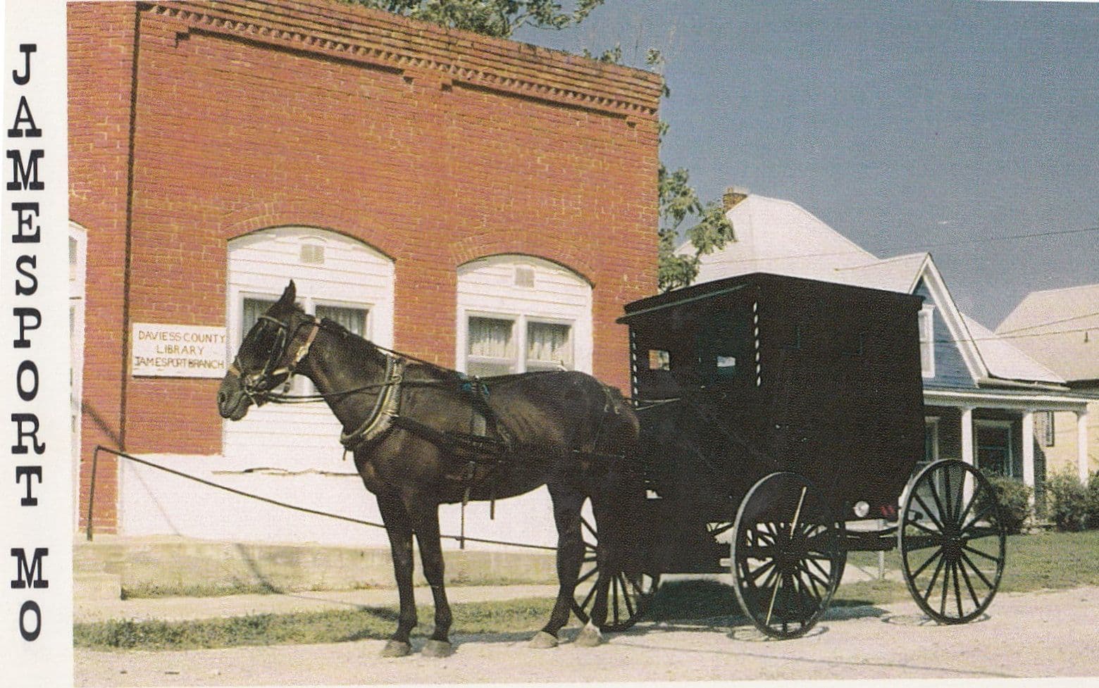 Jamesport Mo American Amish Transport Horse & Cart Postcard