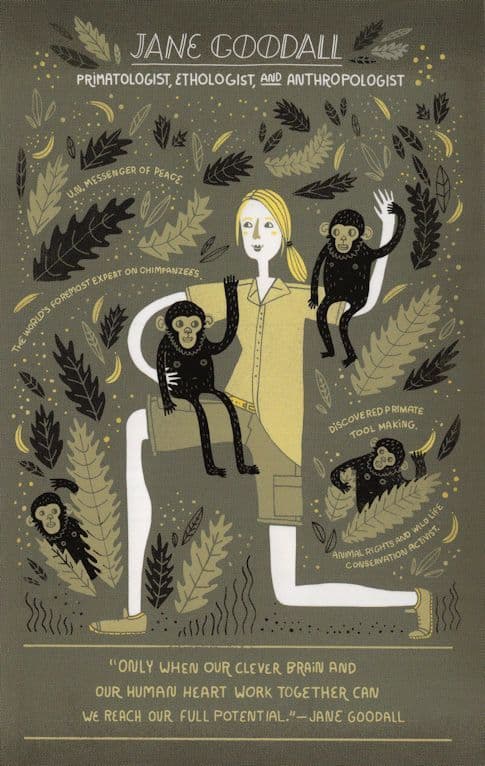 Jane Goodall Charles Darwin Style Primatologist Anthropologist Postcard