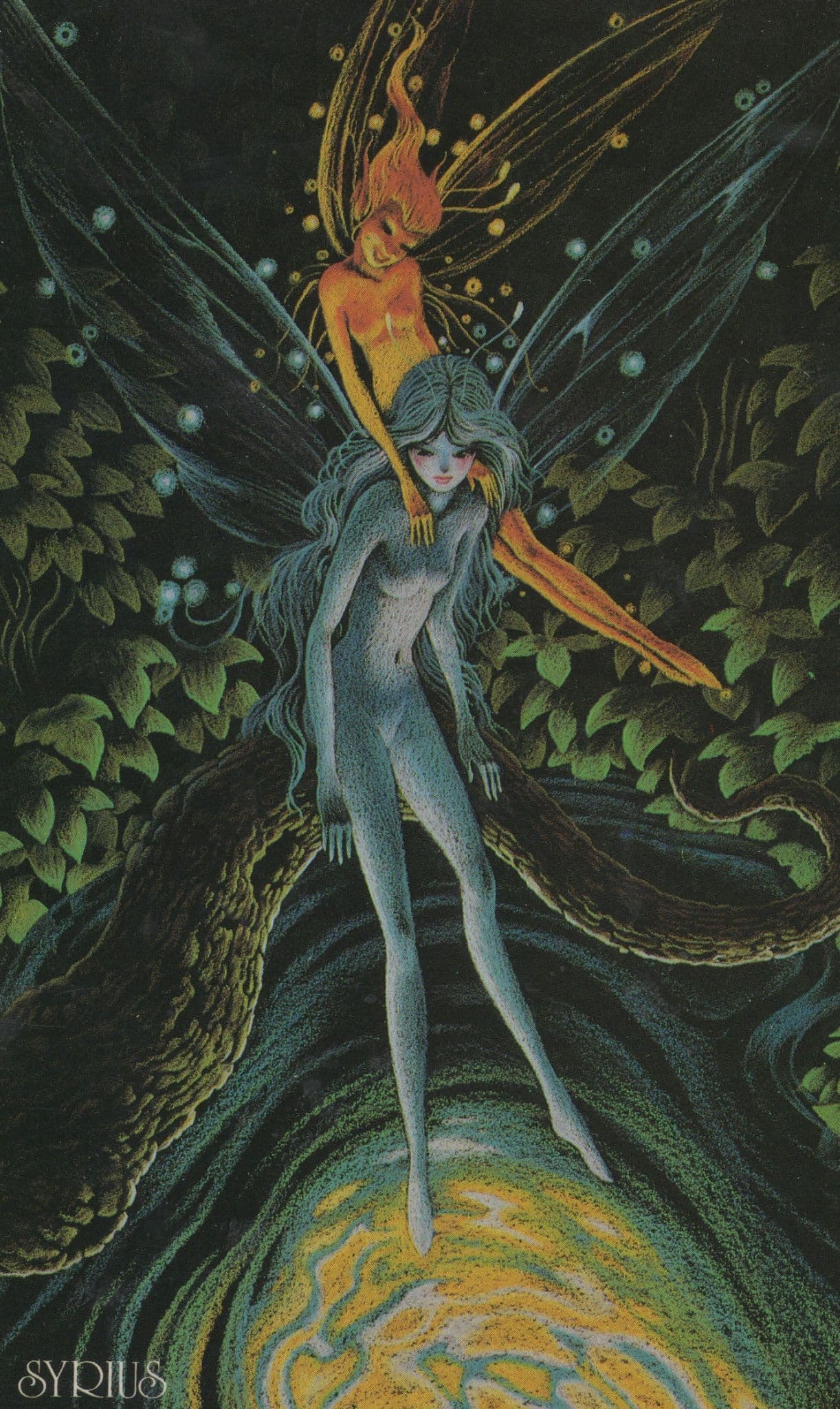 Japan LGBT Lesbian Fairy Fairies Gay Interest Japan Painting Postcard