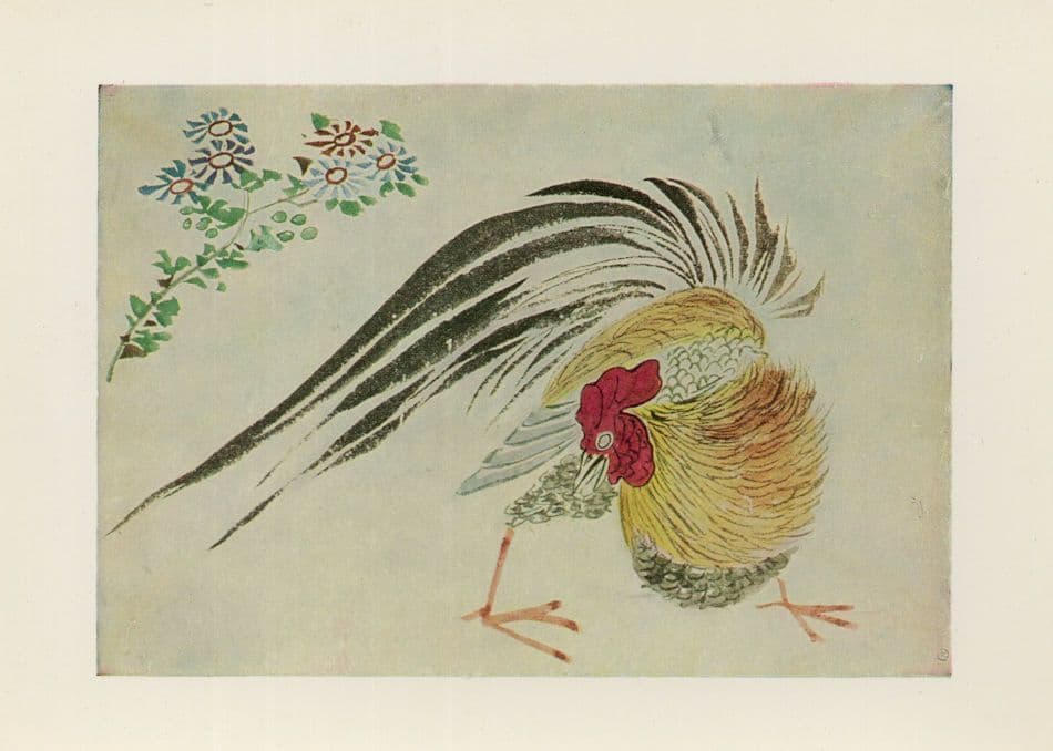 Japanese Cock Chinese Style Painting Ink Watercolour Art Postcard