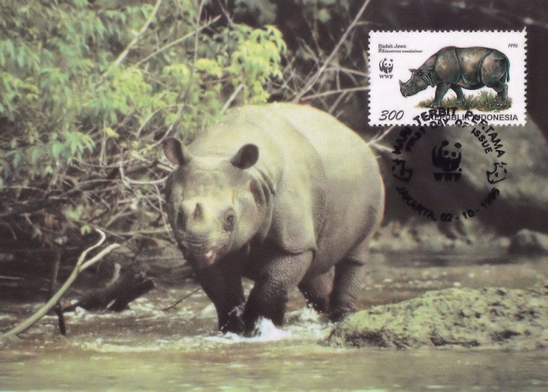 Javan Rhinoceros Indonesia WWF Ltd Stamp FDC Postcard