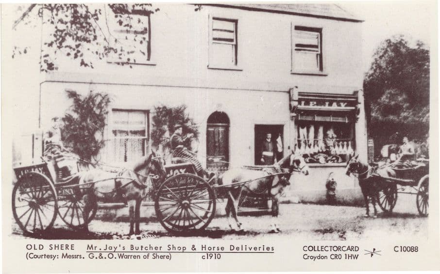 Jay's Butchers Old Shere Croydon Horse Delivery Postcard
