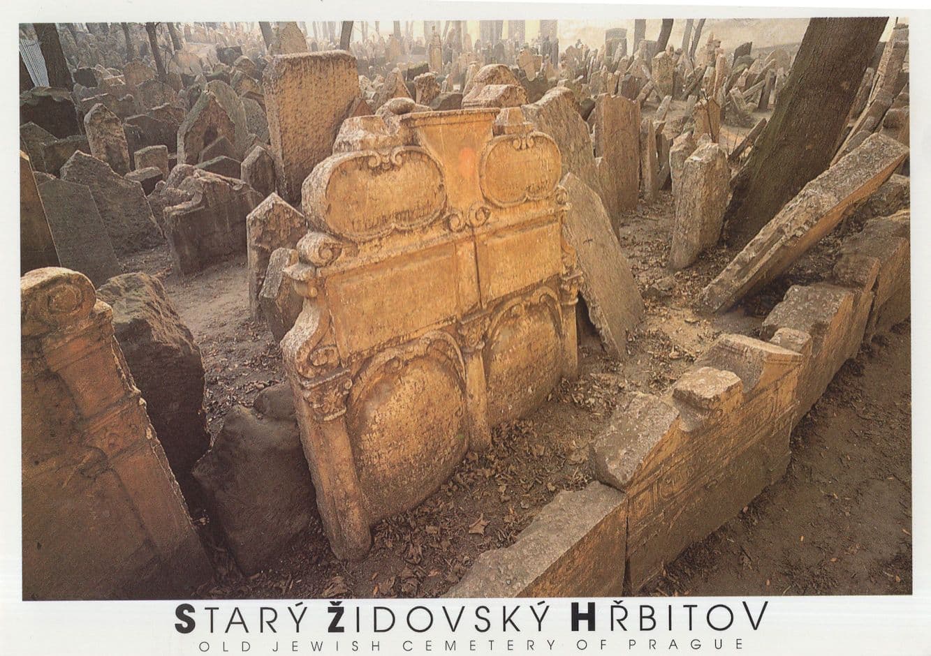 Jewish Cemetary Of Prague Postcard
