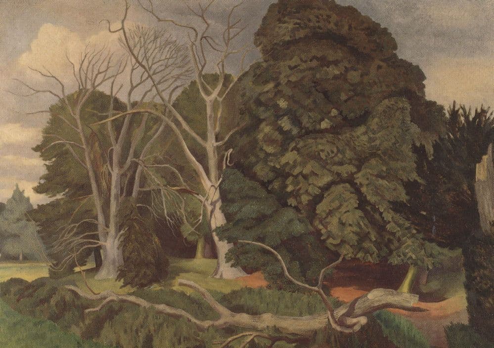 John Nash Fallen Tree Royal Academy Of Arts Painting Postcard