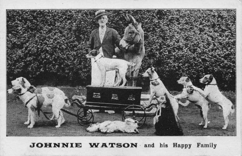 Johnnie Watson & His Happy Family Dogs Theatrical Act Circus Old PB Postcard