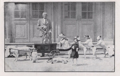 Johnny Watson Fox Terriers Dog Owners Newcastle Advertising Old Postcard