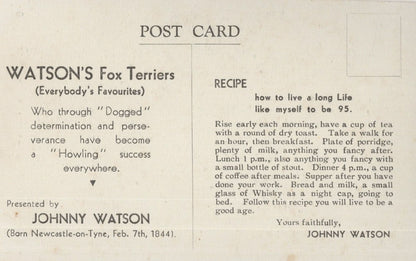 Johnny Watson Fox Terriers Dog Owners Newcastle Advertising Old Postcard
