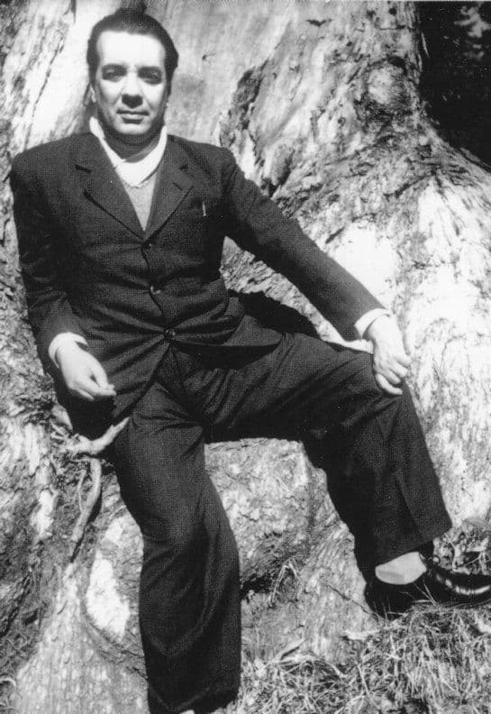 Jorge Luis Borges Ficciones Labyrinths Book Author Stunning Portrait Postcard