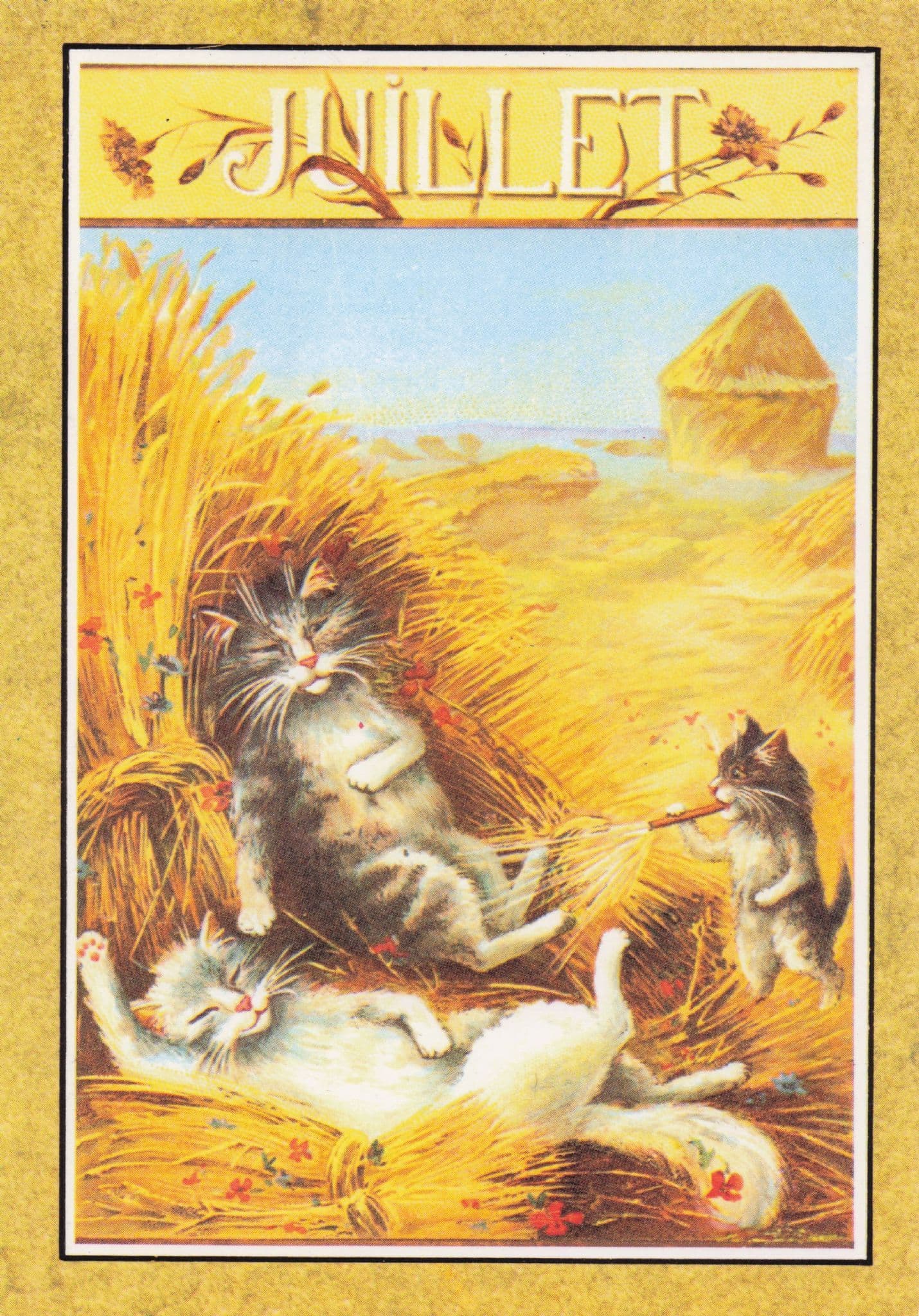 Juillet Lazy Farm Cats Sleeping In Straw Hay Calendar French Cat Postcard