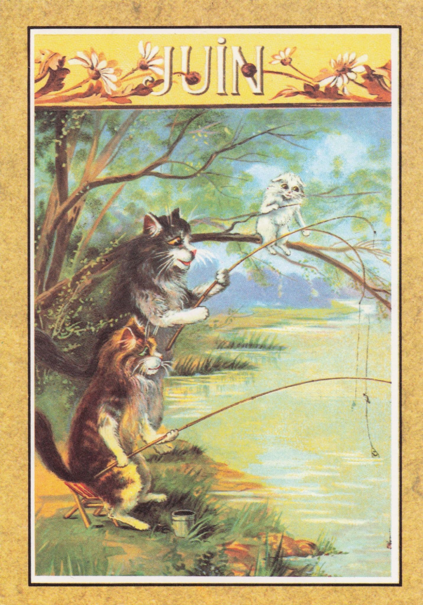 Juin Cats Fishing Catching Fish at River Calendar French Cat Postcard