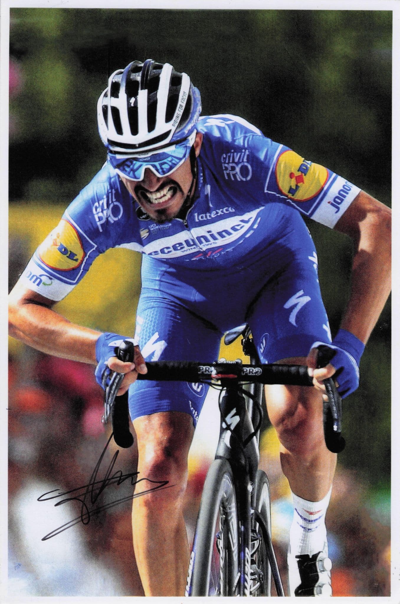 Julianne Alaphilippe French Cyclist 2019 Tour De France 12x8 Hand Signed Photo