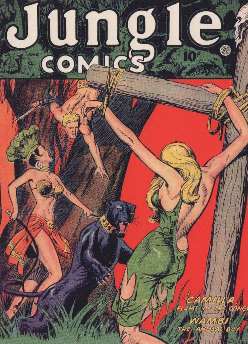 Jungle Tarzan Style 1950s Comic Wambi Animal Boy Congo Postcard