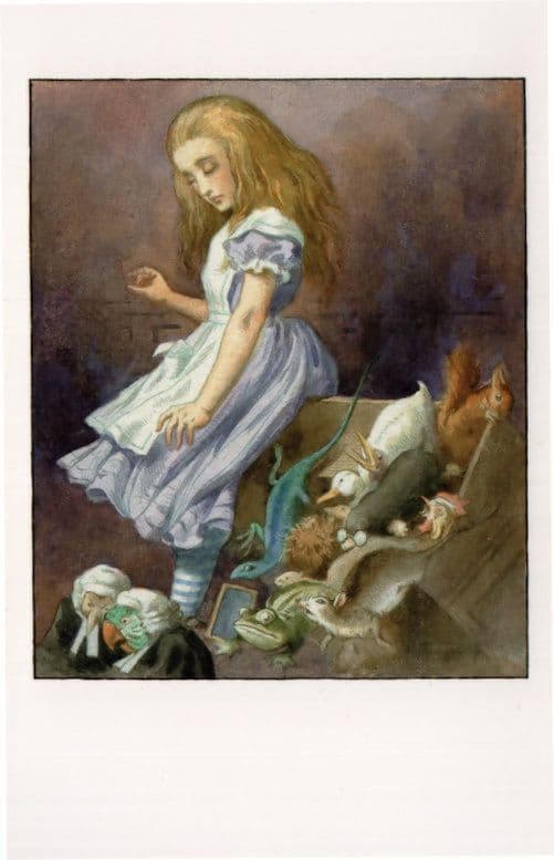 Jury Box Alice's Adventures In Wonderland 1927 Book Postcard