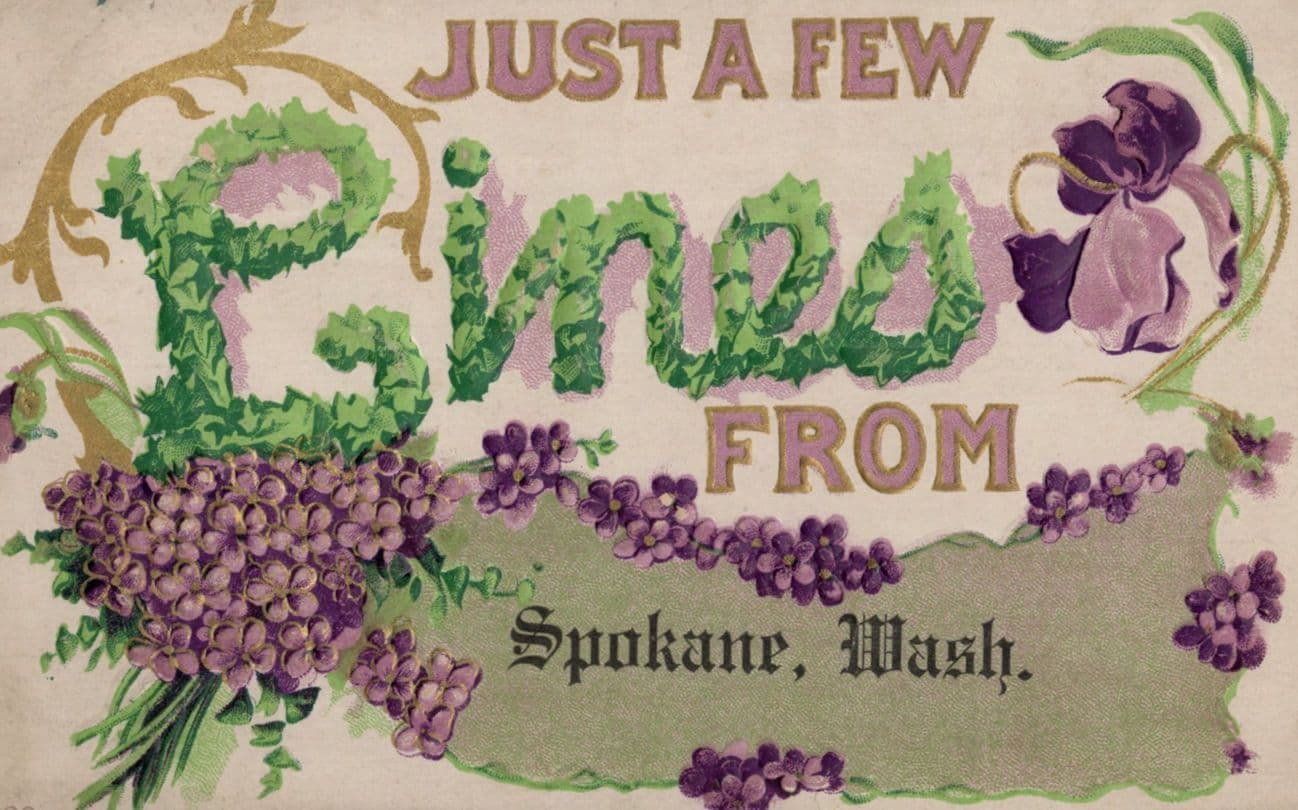 Just A Few Pines From Spokane Washington USA Embossed Old Postcard