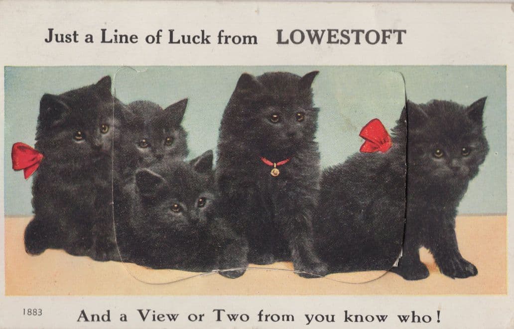 Just A Line Of Luck From Lowestoft Cat Mailing Novelty Postcard