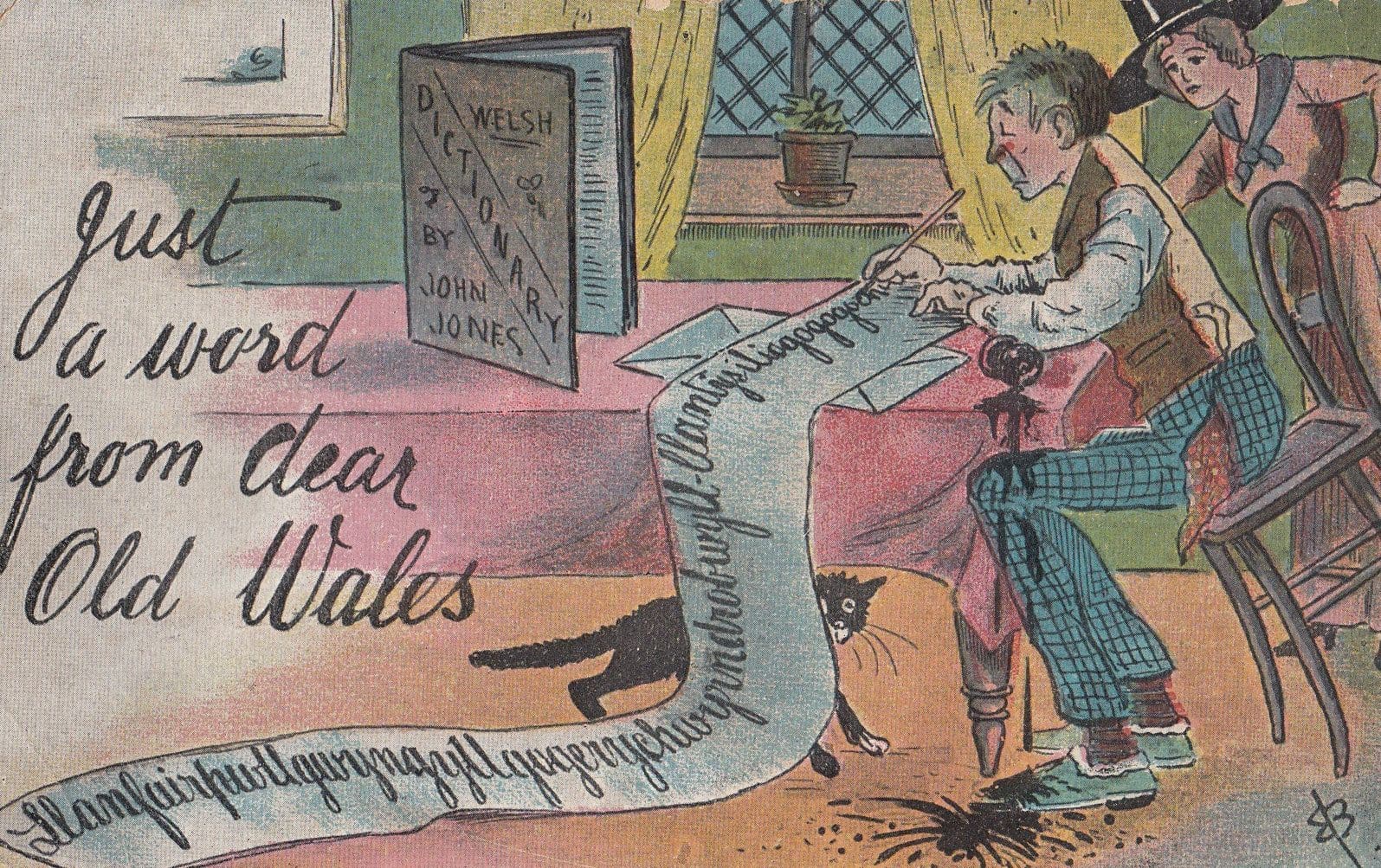 Just A Word From Dear Old Wales Dictionary WW1 Old Comic Welsh Postcard