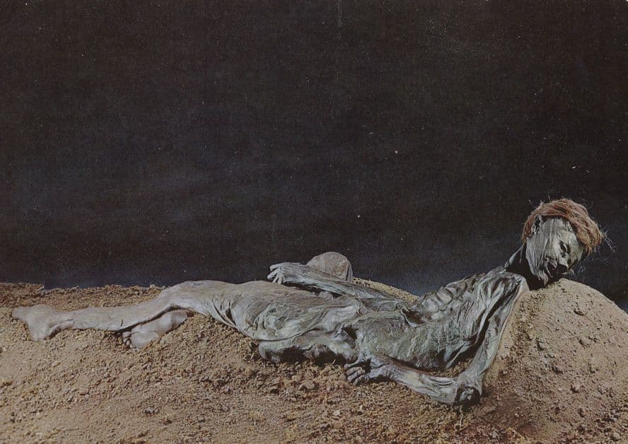 Jutland Roman Dead Corpse Bog Body Denmark Postcard