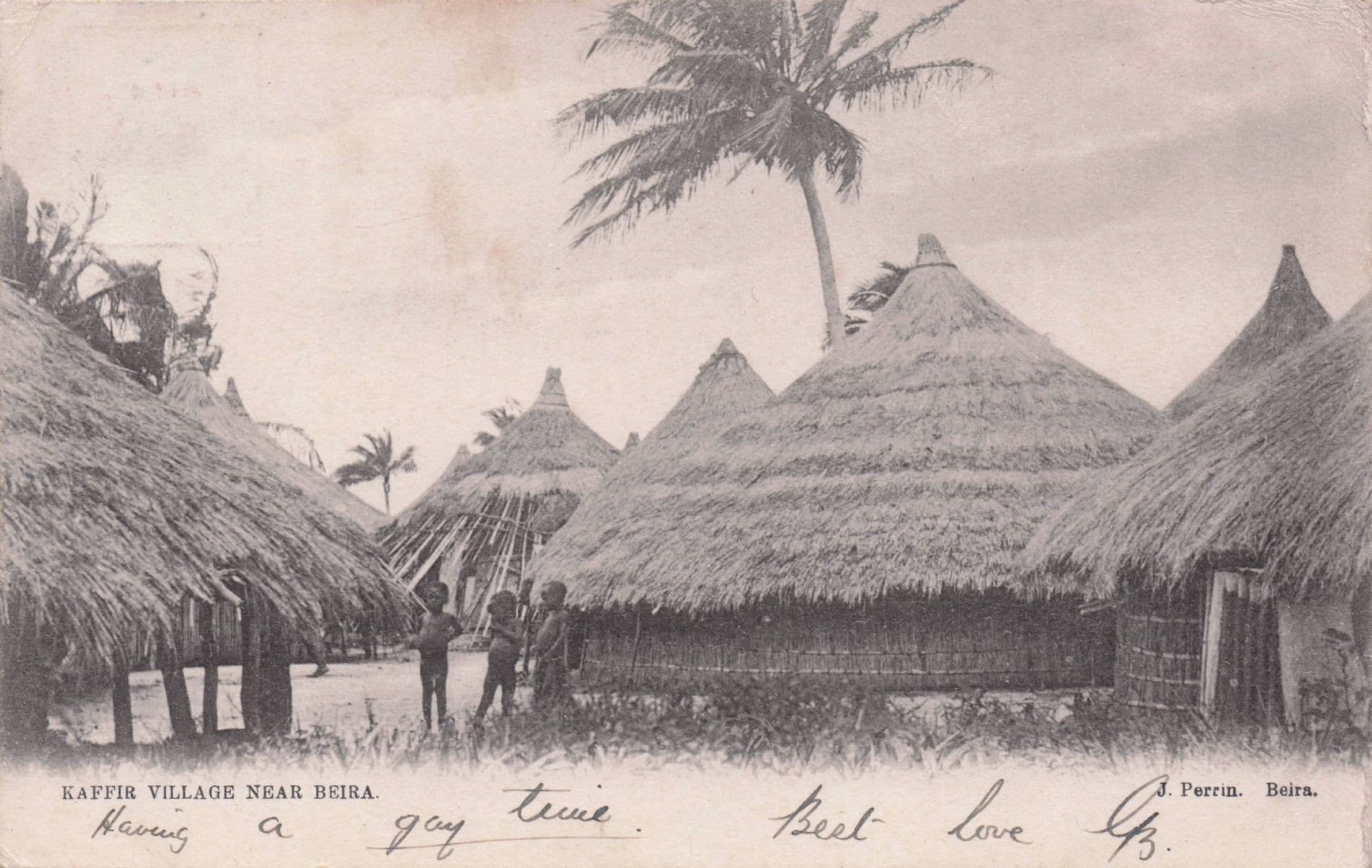 Kaffir Village Near Beira Tribe Huts African Old Postcard