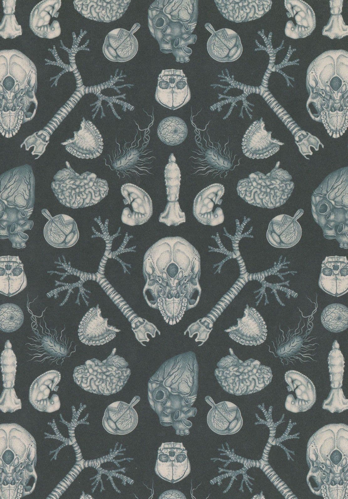Kaleidoscope Of Skull Skeleton Spine Body Parts Morbid Postcard