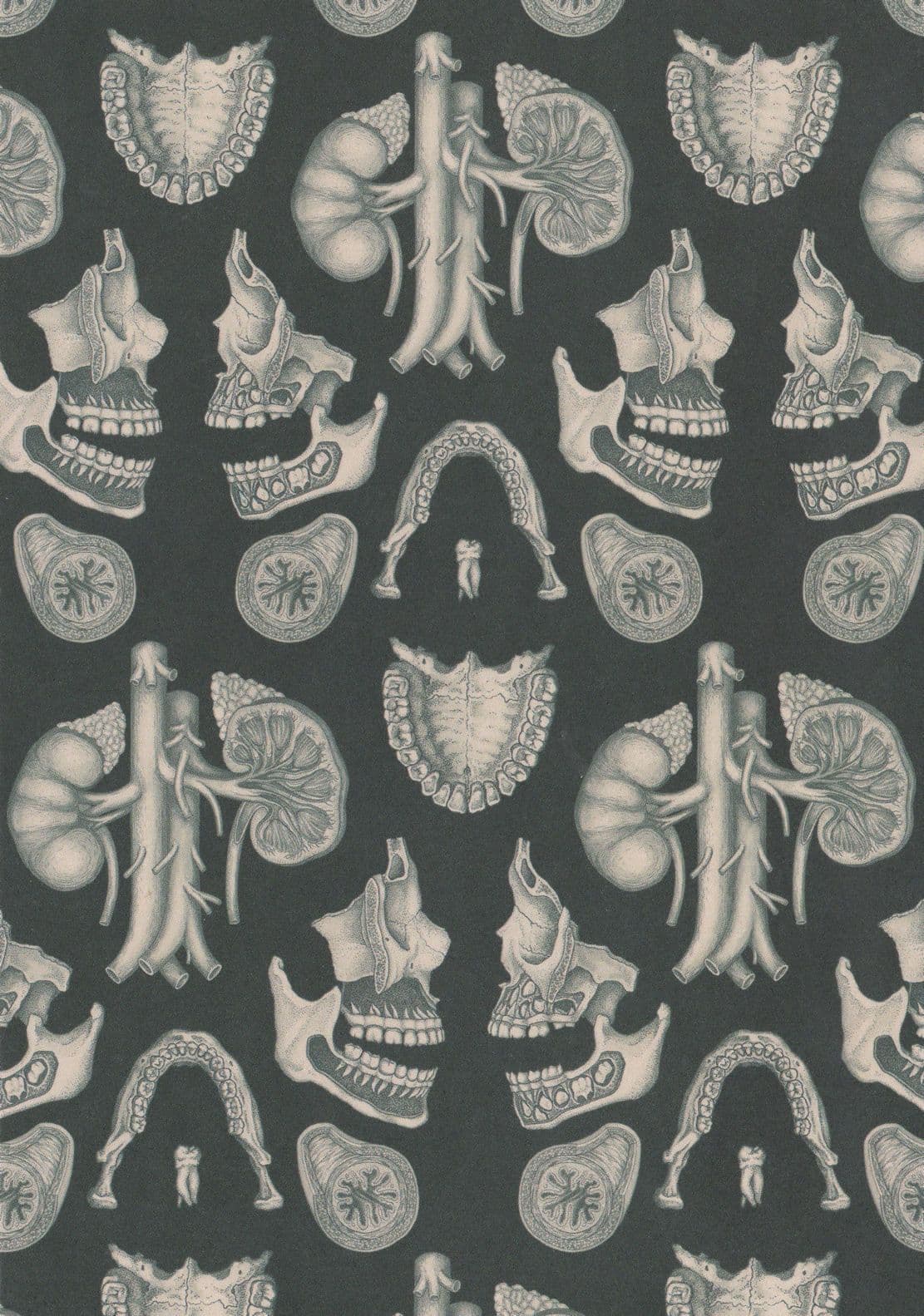 Kaleidoscope Of Teeth Mouth Dentist Body Parts Postcard