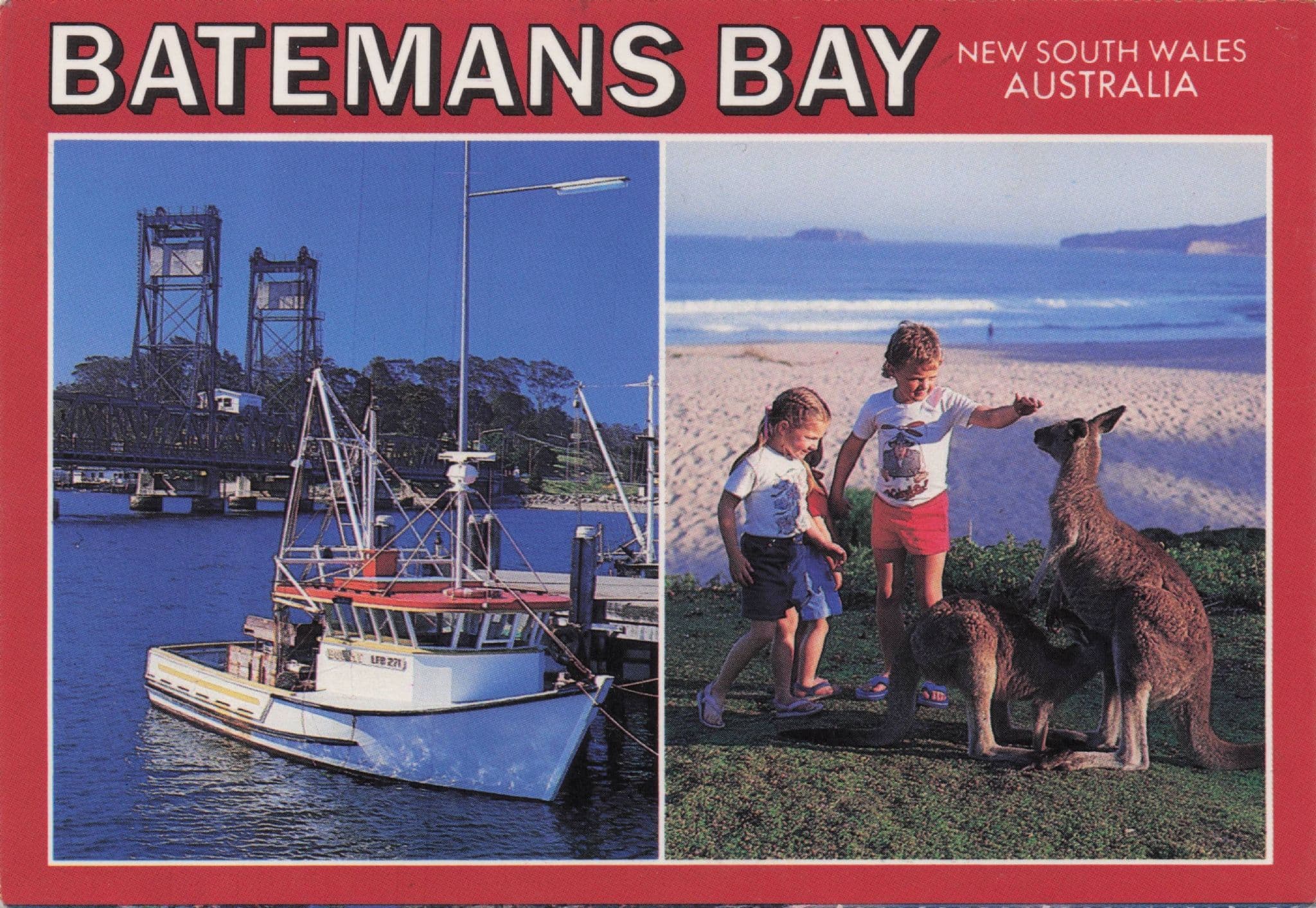 Kangaroo & Boat at Batemans Bay New South Wales Australia Postcard