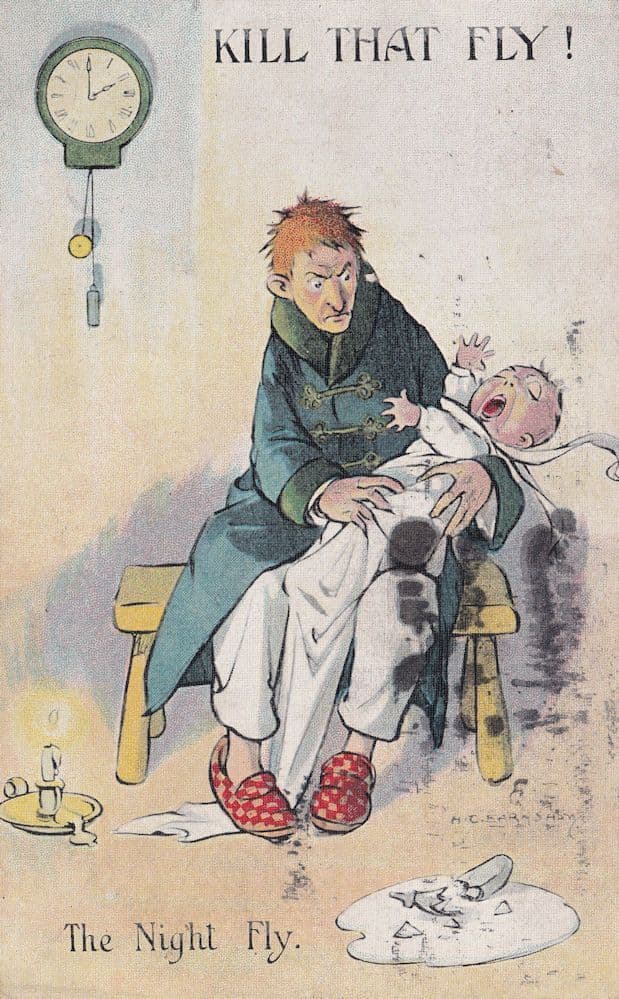 Kill That Fly Insect Old WW1 Comic Postcard