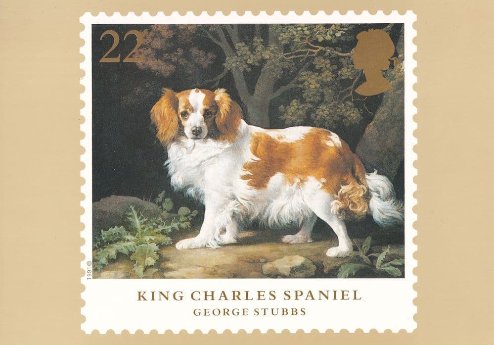 King Charles Spaniel Dog George Stubbs Painting Rare Postcard