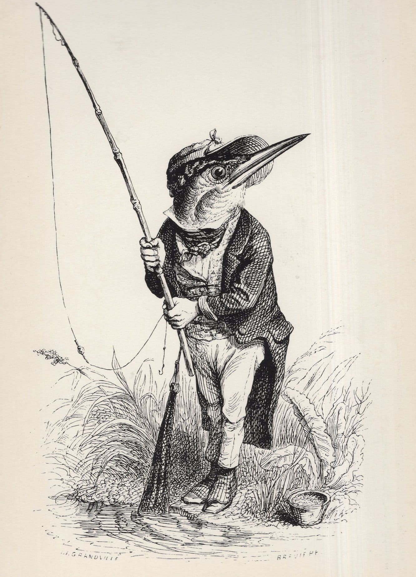 Kingfisher Bird Fishing JJ Grandville Victorian French Illustrator Art Postcard