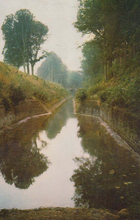Kings Reach Coates Sussex 1970s Postcard