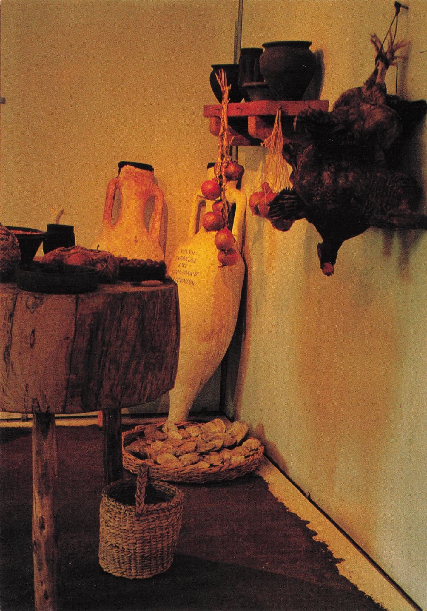 Kitchen Roman Cookery Rockbourne Villa Artefacts Postcard