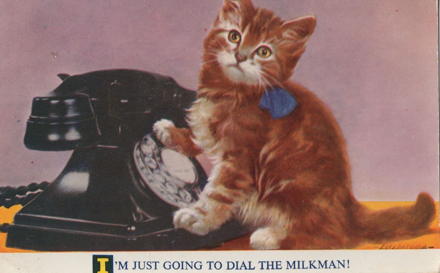 Kitten Telephone The Milkman Comic Vintage Cat Postcard