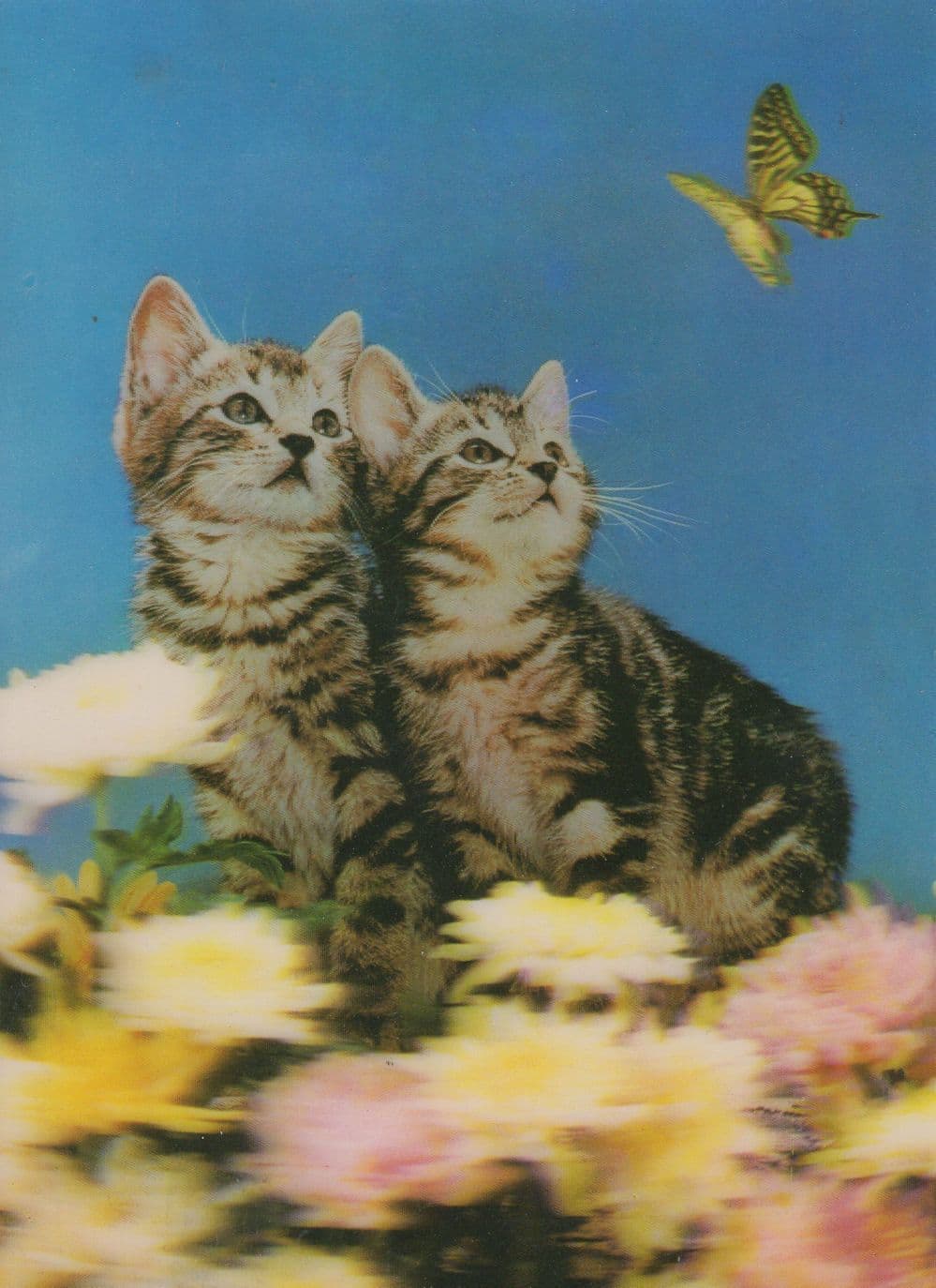 Kittens Cat Butterfly Japan Dubai 1970s Three Dimensional 3D Postcard