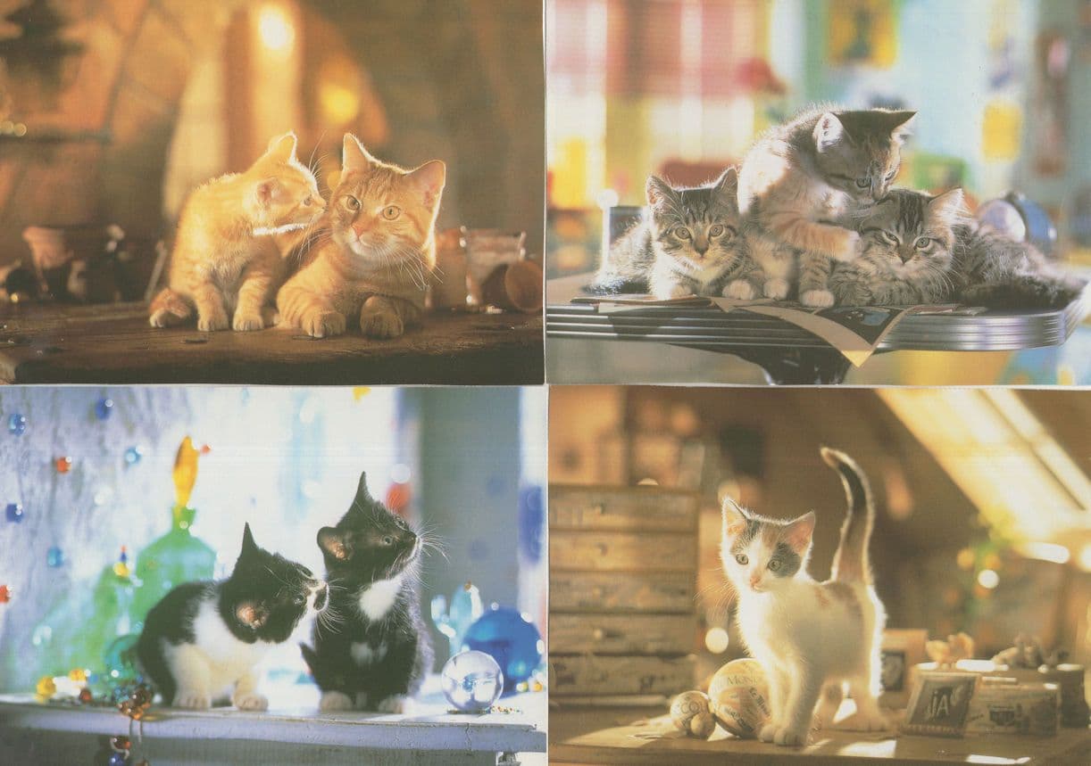 Kittens Cats 4x Playful Groups Postcard s