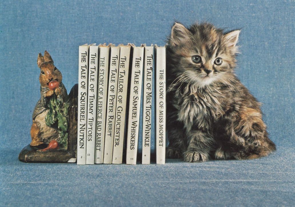 Kittens Cats Guarding Beatrix Potter Book Collection Postcard