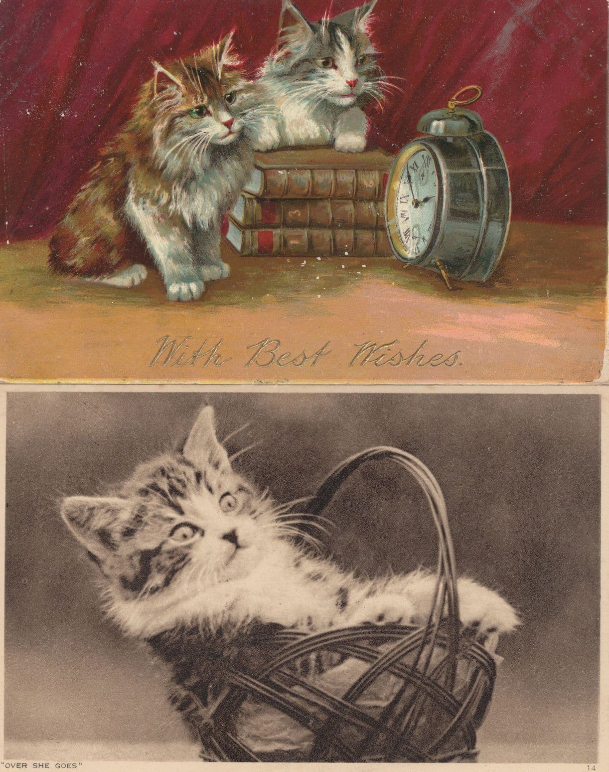 Kittens Cats Watch An Alarm Clock Over She Goes 2x Postcard s