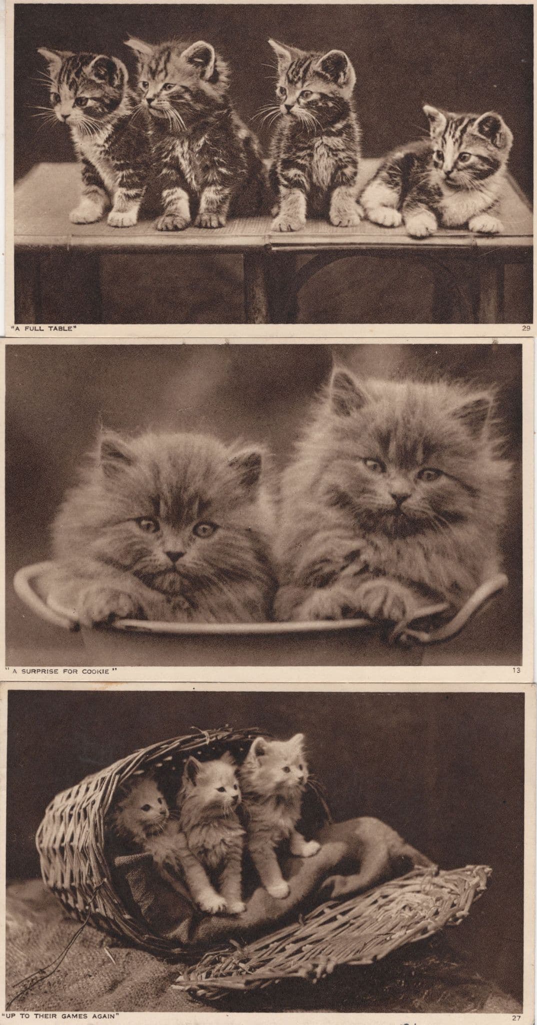 Kittens Kent Publishers 3x Cats Old Postcard s